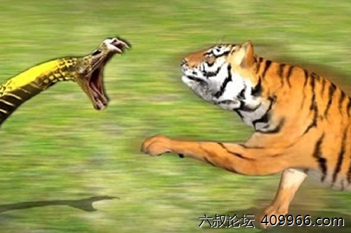 2025年第120期幽默猜测：荒野之決